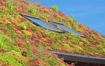 Rhiconich living roof systems